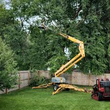 Reliable Luling, TX Tree Removal and Landscaping Services Solutions